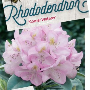 rhgwater-1.jpeg